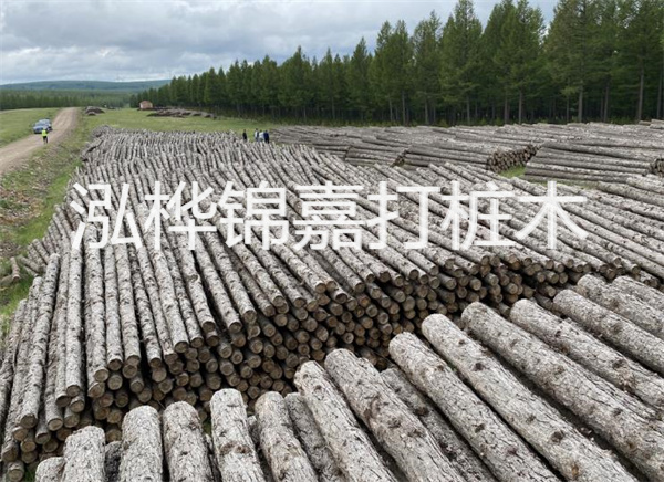 松木樁施工機(jī)械河到，輕松解決施工難題