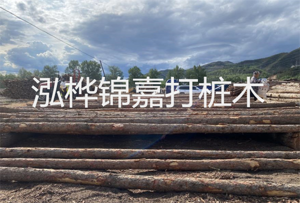 松木樁水下施工：無拖累，高效穩(wěn)固！