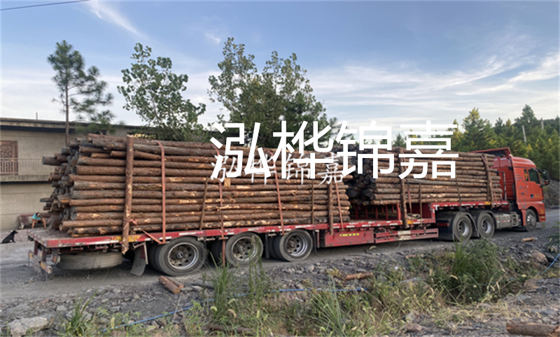 優(yōu)質(zhì)松木樁，6米長，實惠價格，盡在XXX材料商城