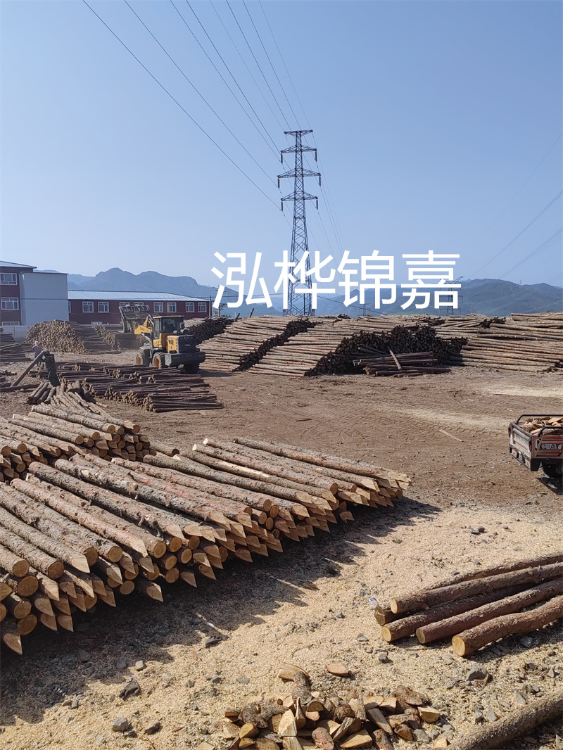 廣州杉木原木收購廠—專業(yè)、可靠的原木收購商